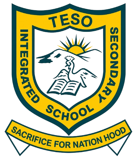 taso integrated no bg
